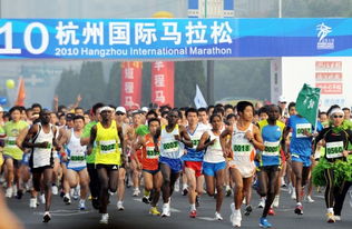 2010杭州國際馬拉松開賽 中外選手準備出發