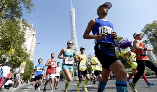 今日熱訊 北京冬奧會主新聞中心和國際廣播中心合并 2019中國馬拉松等級賽事及特色賽事評定結果出爐