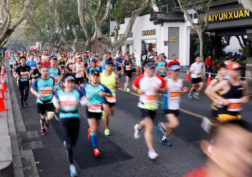 上馬報(bào)名開(kāi)啟,全馬僅9000人,中簽幾率大大降低