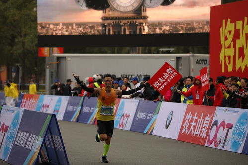 無懼寒潮,絲路飛揚 深圳寶安國際馬拉松賽高清大圖來襲