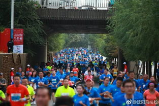2019杭馬榮獲國際 雙金 賽事,2019沈陽馬拉松9月8號(hào)開跑