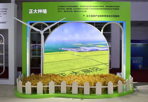 正大集團(tuán)亮相首屆中國國際供應(yīng)鏈促進(jìn)博覽會(huì)